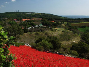 Климат Климат